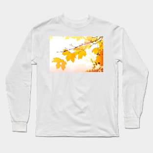 Yellow maple leaves in autumn season Long Sleeve T-Shirt